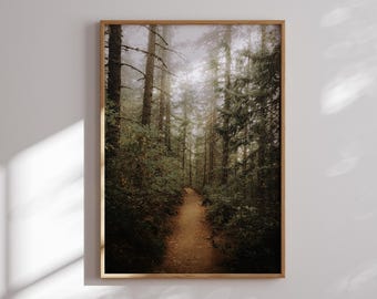 Oregon Forest Print | Misty PNW Trail Wall Art | Pacific Northwest Nature Photography