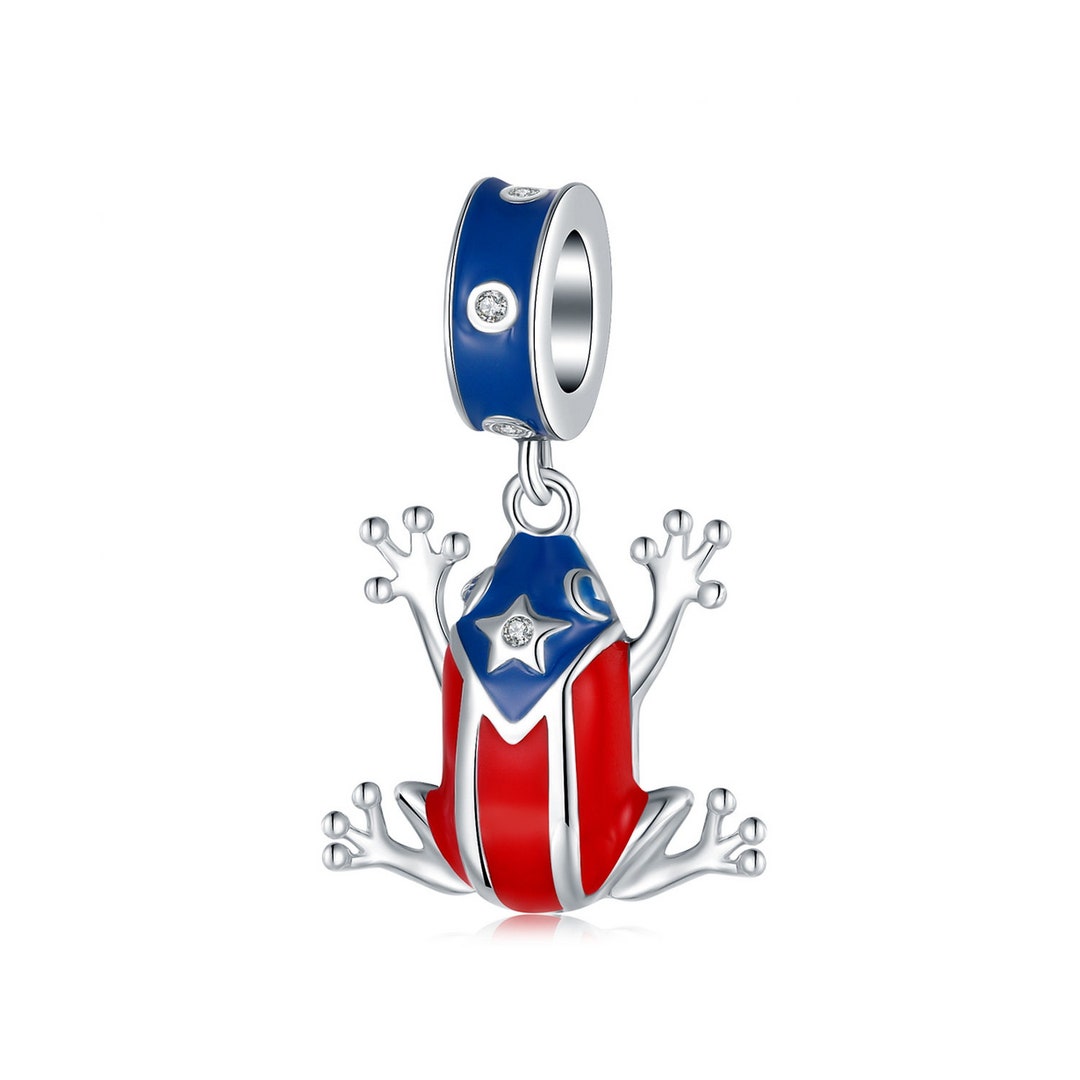 Puerto Rico Coqui Tree Frog Charm Charms for Pandora Etsy