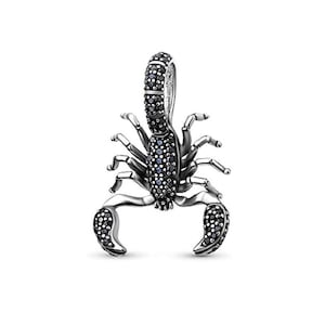 Fit Pandora Charms, 925 Sterling Silver Charms, Charms for Pandora Bracelet, Charms for Bracelet, Black Scorpion Pendant Charm