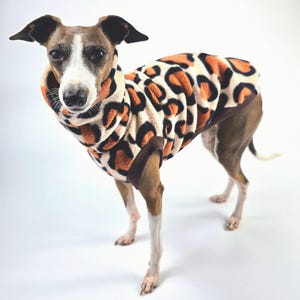 Italian Greyhound Small Dog Vest - Safari vest with long neck. Vest for Italian Greyhound, Iggy clothes, Clothing for Italian Greyhound