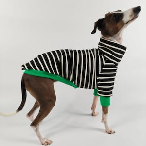 Stripey Jumper for Italian Greyhound and other small, long dogs. Italian Greyhound Clothes, iggy clothes, clothes for Italian Greyhound