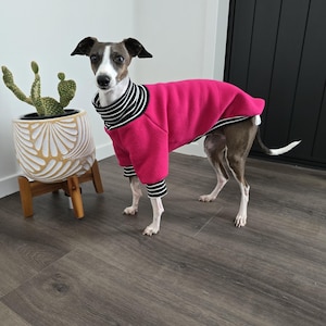 Italian Greyhound Sweatshirt. Iggy Sweater, italian greyhound clothes, italian greyhound jumper, iggy clothing, Iggy sweater