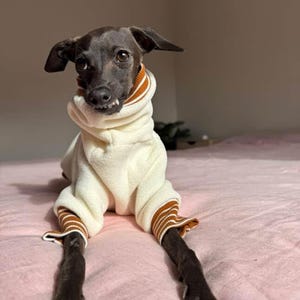 Custom Luxe Fleece Jumper for Italian Greyhounds and other small, long dogs. Italian Greyhound clothes, Iggy Clothes, clothing for Iggy