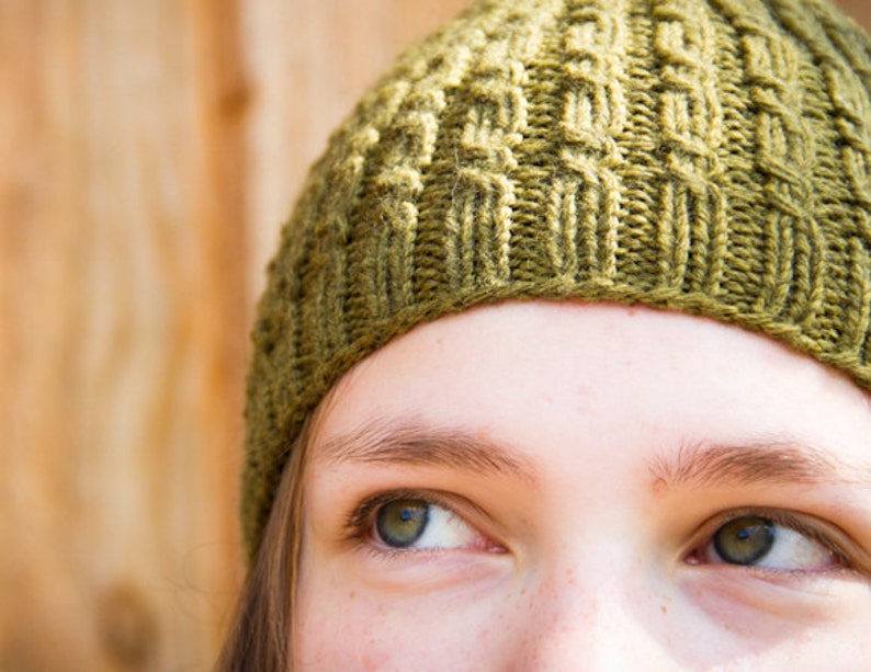 Cascades Cabled Beanie PDF knitting pattern knitted worsted weight wool cabled beanie instructions for women's or men's versions image 4