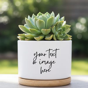 May include: A white ceramic plant pot with a succulent. The pot has a wooden base and the text "Your text or image here" in black script. The succulent is green and has multiple leaves.