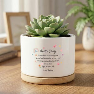 Personalized Auntie Succulent Pot,Custom Plant Pot Gift For Auntie from Niece Nephew, Birthday Mother's Day Thank You Gift Heartfelt Message
