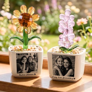 Personalisierter Glasblumentopf mit Foto der besten Freundin, Geburtstagsgeschenk für die beste Freundin, individuelles Freundschaftserinnerungsstück
