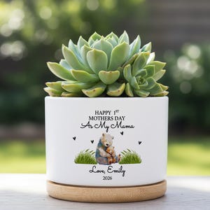 Första mors dag suckulentkruka, personlig som min mammas växtkruka, present till nybliven mamma från bebis, anpassad namnkruka för blomkruka