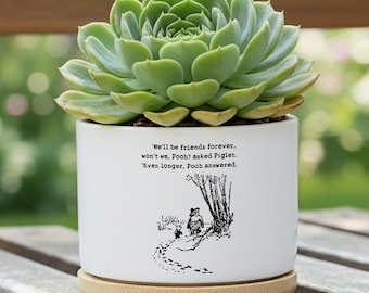 Winnie de Poeh succulente pot, Pooh en Knorretje vriendschap plant pot cadeau, beste vriend citaat plantenbak, leuk boekenliefhebber bureaudecor