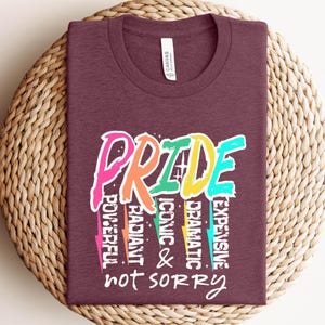 May include: A maroon t-shirt with the word "PRIDE" in colorful, stylized letters. Additional words include "POWERFUL", "RADIANT", "ICONIC", "DRAMATIC", "EXPENSIVE", and "not SORRY". The shirt is folded on a woven surface.
