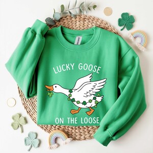 May include: A green sweatshirt with the text "LUCKY GOOSE ON THE LOOSE" and a cartoon goose wearing a shamrock garland. The goose is holding a shamrock in its beak. The sweatshirt is on a woven mat with shamrock and rainbow decorations.