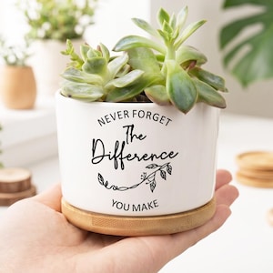 May include: A white ceramic planter with a bamboo base containing a green succulent. The planter features black text that reads NEVER FORGET The Difference YOU MAKE, accompanied by a small decorative vine illustration below the word Difference.