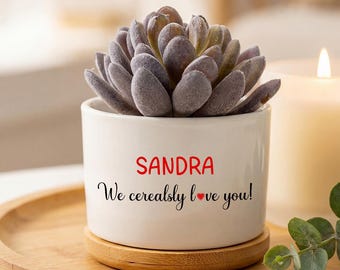 Gepersonaliseerde succulente plantenbak, aangepaste naam bloempot, "Succulently Love You" cadeau voor moeder, leraar, Valentijnsdag, housewarming