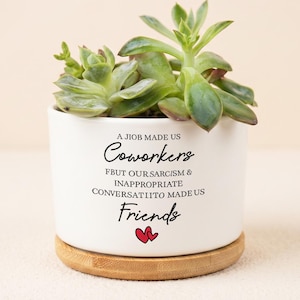 May include: A white ceramic cylindrical planter with a bamboo base containing a green succulent. The planter features black text that reads A JIOB MADE US Coworkers FBUT OUR SARCISM & INAPPROPRIATE CONVERSATIITO MADE US Friends with two small red hearts.