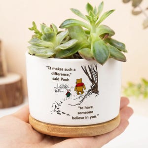 Puede incluir: Una maceta de cerámica blanca con una planta suculenta, con una ilustración de Winnie the Pooh y la cita "It makes such a difference, said Pooh, to have someone believe in you." La maceta está sobre una base redonda de bambú.