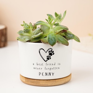 May include: White ceramic planter with a succulent plant. The planter has a heart and paw print design with the text "a best friend is never forgotten" and the name "PENNY". The planter sits on a bamboo base.