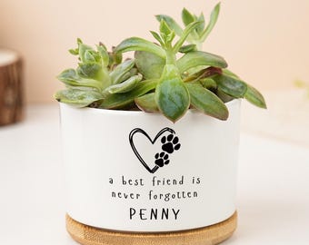 Maceta conmemorativa personalizada para mascotas: maceta de cerámica para suculentas, regalo para el recuerdo de tu perro