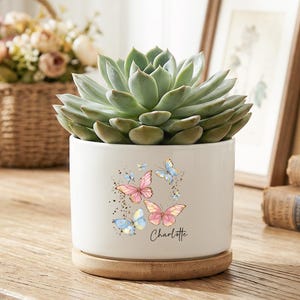 Puede incluir: Una maceta de cerámica blanca con una planta suculenta, con un diseño de mariposas rosas y azules. La maceta se apoya en una base de madera. El nombre "Charlotte" está escrito debajo.