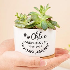 May include: A white ceramic planter containing a green succulent plant. The planter features black text that reads Chloe, FOREVER LOVED, and the years 2008-2025, accompanied by two small paw print icons and a decorative laurel leaf graphic design.