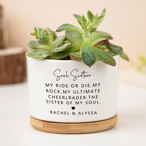Puede incluir: Una maceta de cerámica blanca con una planta suculenta. La maceta tiene el texto "Soul Sisters" y una cita sobre la amistad. La base es de madera. La planta tiene hojas verdes.