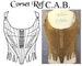 REF C.A.B. PDF Digital file antique corset stays 24.50 inches waist size antique late 18th century corset pattern and pictures 