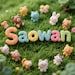 Saowanee