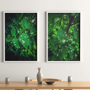 Green Leaf Water Drop Wall Art For Nature Lover Fresh Plant Photo Gift For Home Decor Lover Rainy Day Digital Print Decor for Garden Lover