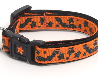 orange kitten collar