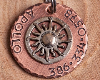 Placa de identificación personalizada de 2,5 cm (sol plateado) para tu gato o perro.