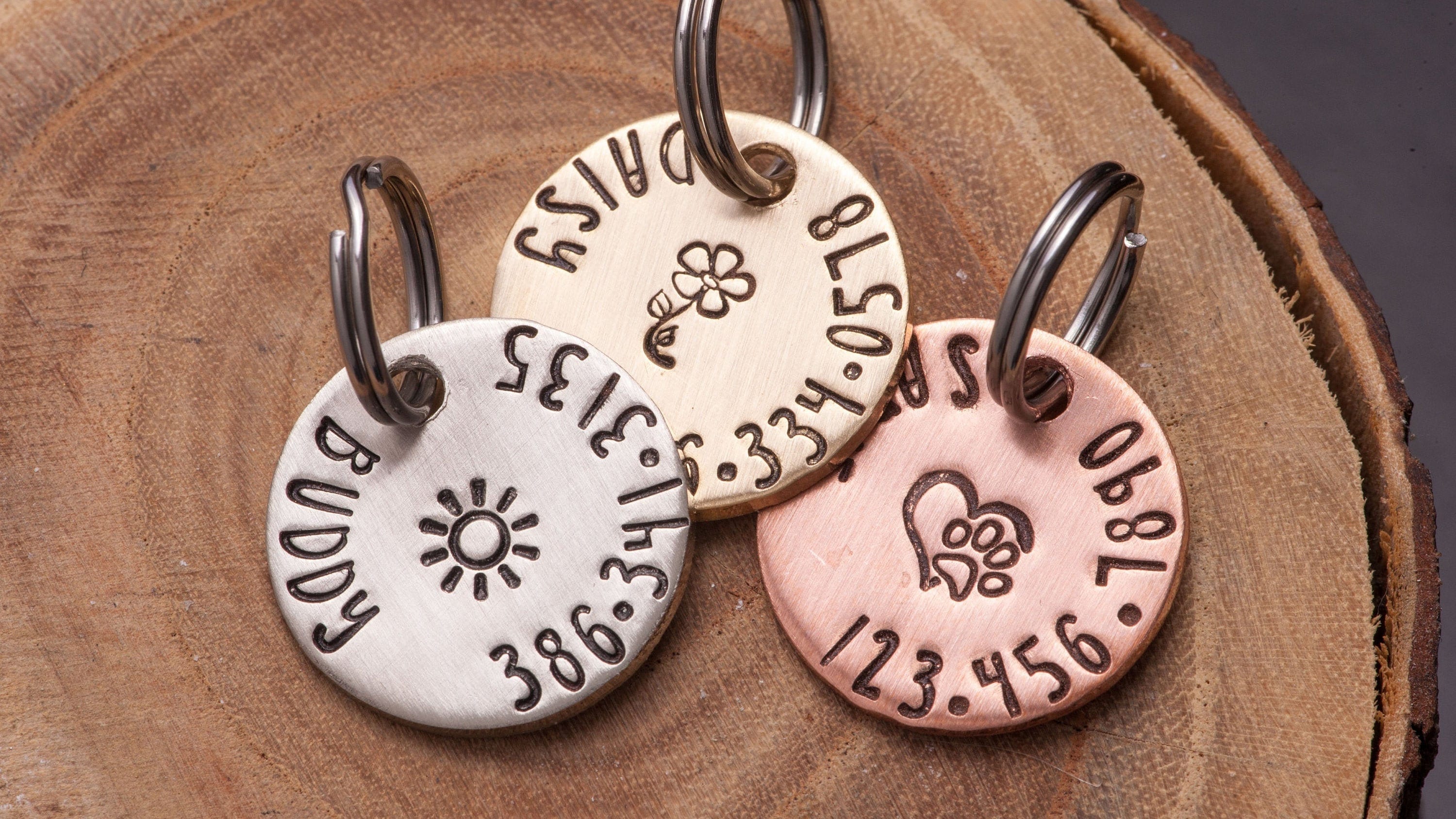 where to get dog id tags