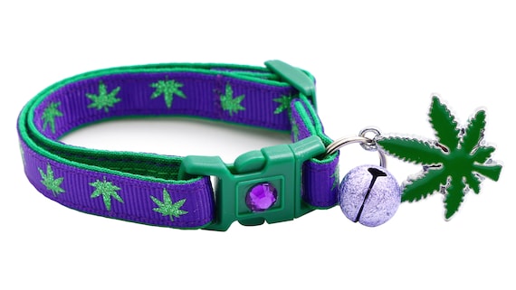 Weed 2025 cat collar