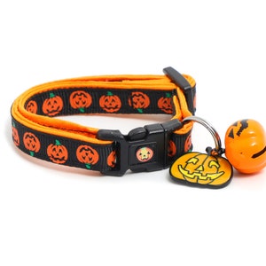 May include: Black and orange Halloween-themed pet collar with a pumpkin pattern and a pumpkin-shaped bell charm.