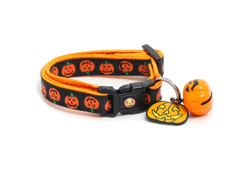 May include: Black and orange Halloween-themed pet collar with a pumpkin pattern and a pumpkin-shaped bell charm.