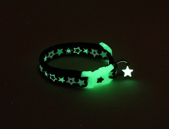 glow collar