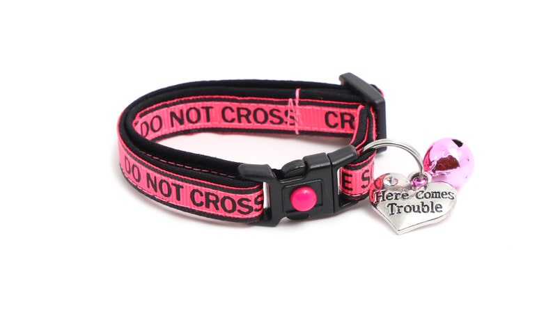 May include: Pink and black cat collar with a black "DO NOT CROSS"  pattern and a silver heart charm that says "Here Comes Trouble".
