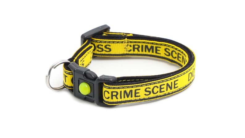 Op de afbeelding: Gele hondenriem met zwarte tekst die "Crime Scene Do Not Cross" luidt.