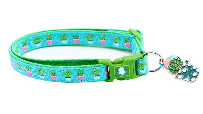 Cactus Cat Collar Cute but Prickly on Blue Breakaway Safety B28D126 image 6