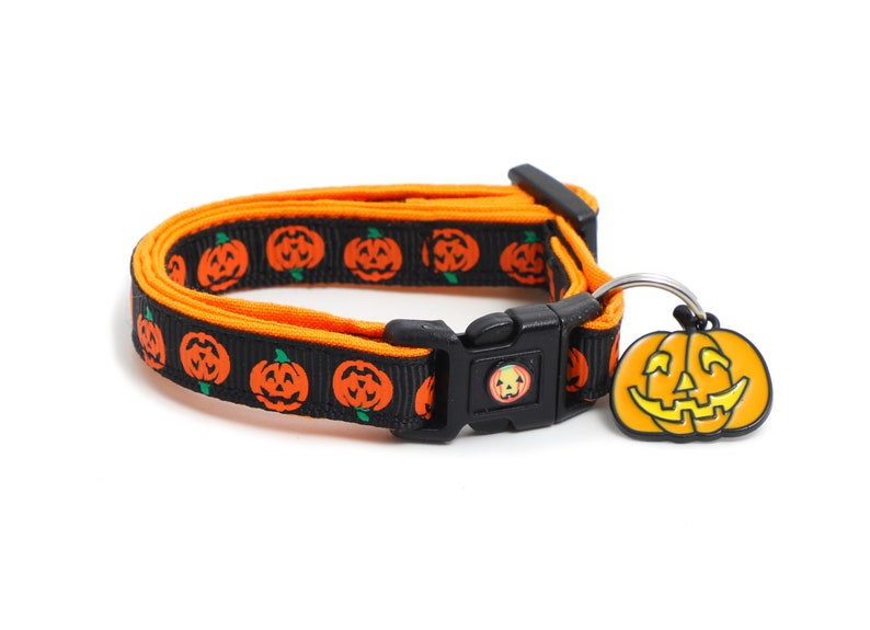 May include: Black and orange dog collar with a pumpkin pattern and a pumpkin-shaped charm. The charm has a jack-o'-lantern face.
