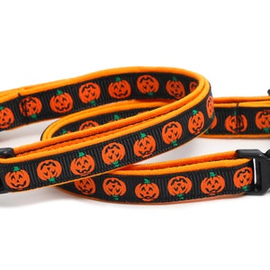May include: A black and orange cat collar with a pumpkin pattern and a bell. The collar has a safety release buckle and a pumpkin-shaped charm.
