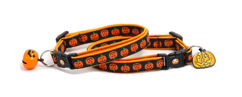 May include: A black and orange cat collar with a pumpkin pattern and a bell. The collar has a safety release buckle and a pumpkin-shaped charm.