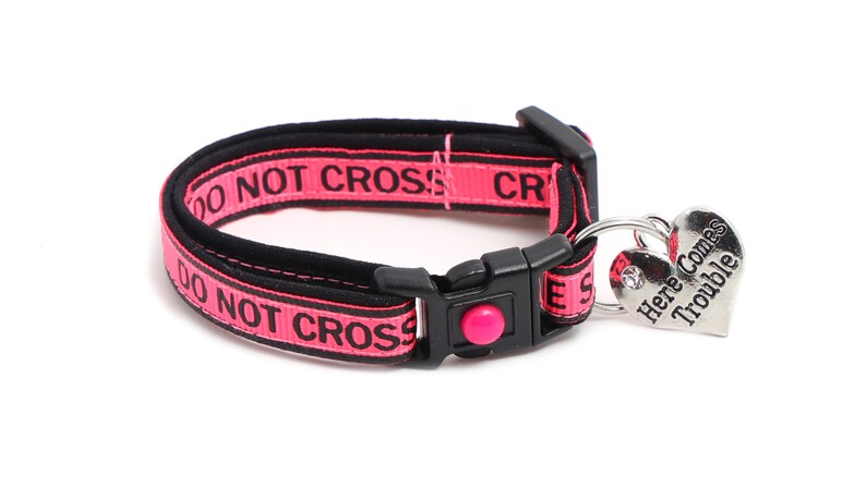 May include: Pink and black dog collar with the text "Do Not Cross" repeated on the collar. A silver heart-shaped tag is attached to the collar with the text "Here Comes Trouble".