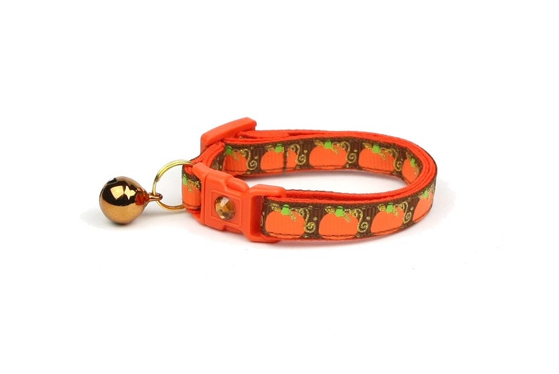 pumpkin cat collar
