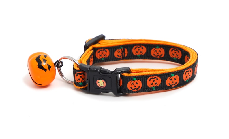 May include: Black and orange cat collar with a pumpkin pattern and a bell. The bell is shaped like a pumpkin with a jack-o'-lantern face.