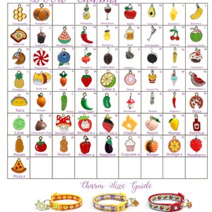 Peut inclure: Une collection de breloques sur le thème de la nourriture, comprenant des fruits, des légumes et des collations, affichée sur un fond blanc. Les breloques sont de différentes formes et couleurs, avec un guide des tailles en bas. Le texte "Food Charms" est en haut.