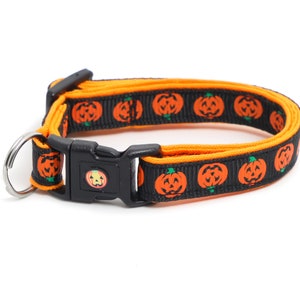 May include: Black and orange dog collar with a pumpkin pattern. The collar has a black plastic buckle and a silver D-ring.
