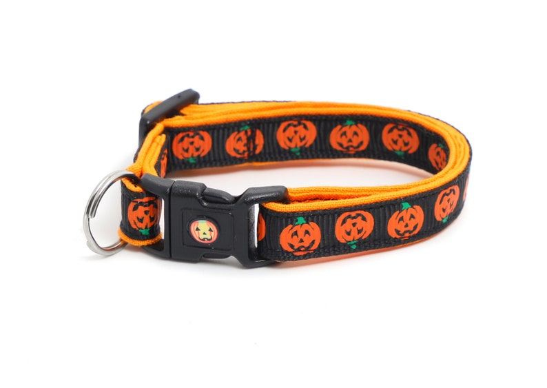 May include: Black and orange dog collar with a pumpkin pattern. The collar has a black plastic buckle and a silver D-ring.