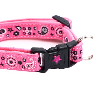 May include: Pink dog collar with a black and white paisley pattern and a pink star charm.