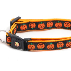 May include: A black and orange cat collar with a pumpkin pattern and a bell. The collar is adjustable and has a safety release buckle.