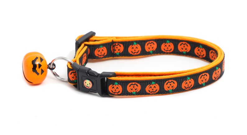 May include: A black and orange cat collar with a pumpkin pattern and a bell. The collar is adjustable and has a safety release buckle.