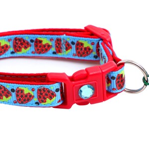 Strawberry Cat Collar - Strawberries on Blue - Breakaway Safety - B81D21